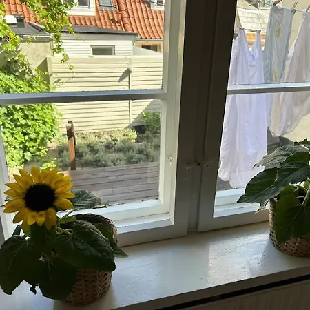 Historical And Romantic House In Town Center * Aalborg