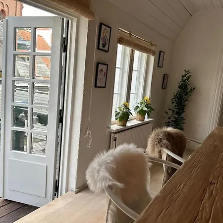 Historical And Romantic House In Town Center Сasa de vacaciones
