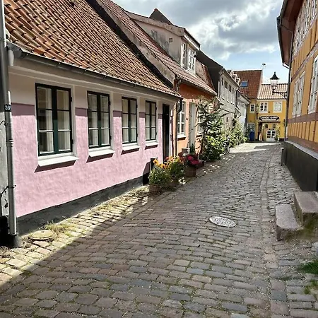 Сasa de vacaciones Historical And Romantic House In Town Center Aalborg