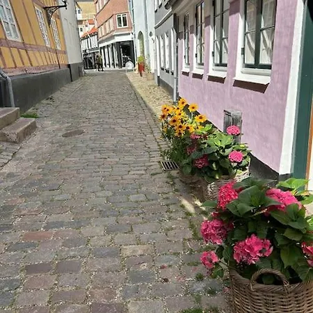 Historical And Romantic House In Town Center Сasa de vacaciones Aalborg